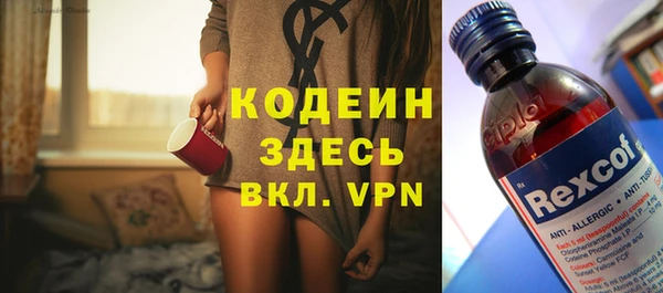 шишки Бородино